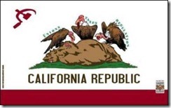 new-california-flag-bankrupt