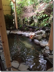 onsen1