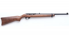 ruger1022