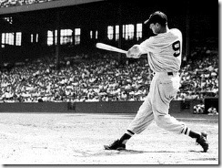 ted-williams-0209-lg_display_image