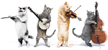 410987-cats-kit-cat-quartet