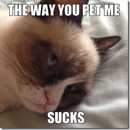 Grumpy-cat9