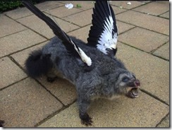 terrifying-taxidermy-wings-screaming