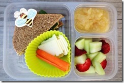 HealthySchoolLunch