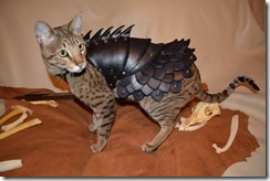 20140109-13232671-catarmor1