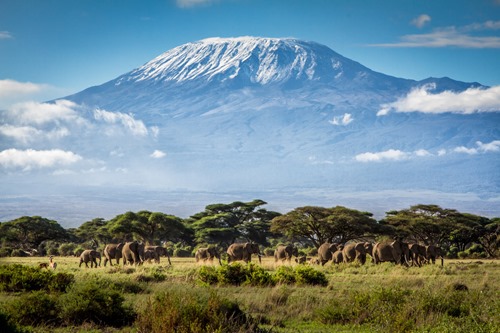 kilimanjaro