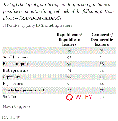 Gallupsocialism