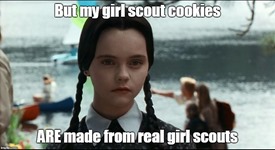 wedgirlscout