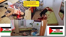 fogel_palestine_propaganda