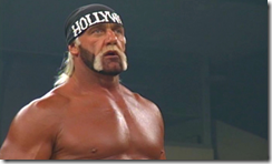 hulkhogan234