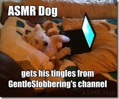 ASMR-Dog