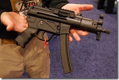 mp5P1160570-900x600