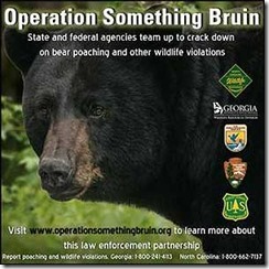 Operation-Something-Bruin