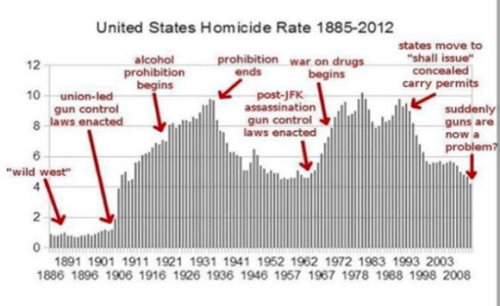 homicidegunscentury