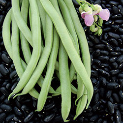 0201-bean-black-valentine.jpg