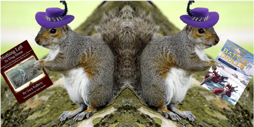 032722-ClosingSquirrel-combined.png