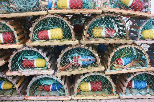 06102026-agnieszkamonk-lobster-cage-2073032_640.jpg