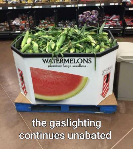 07082026-watermelon.jpg