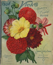 1904vickscatalog.jpg