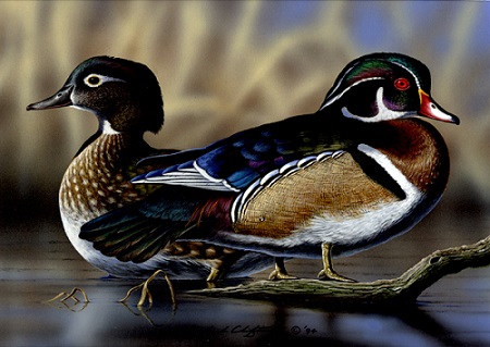 1994-wood-duck.jpg