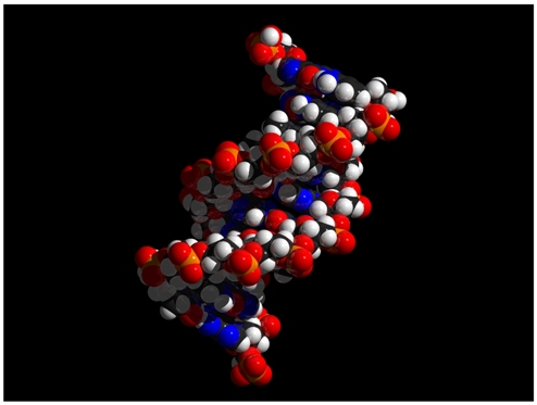 200_DNA_Double_Helix-02.jpg