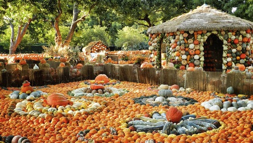 2012-Pumpkin-Village-012.jpg