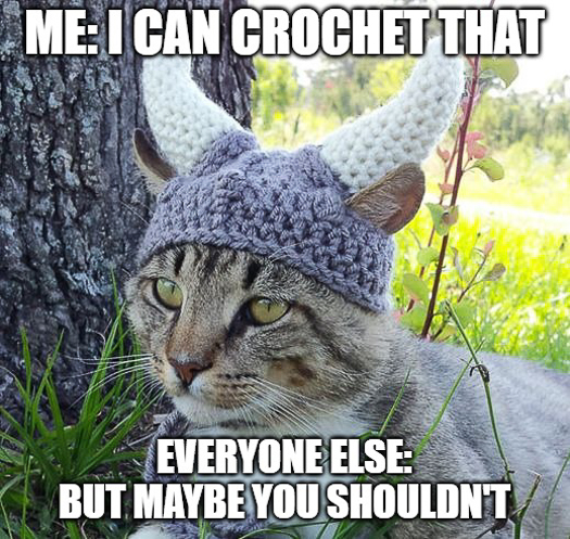 20240728-i-can-crochet-that.jpg