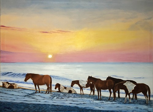 20240920-WildHorsesAssateagueIsland.jpg