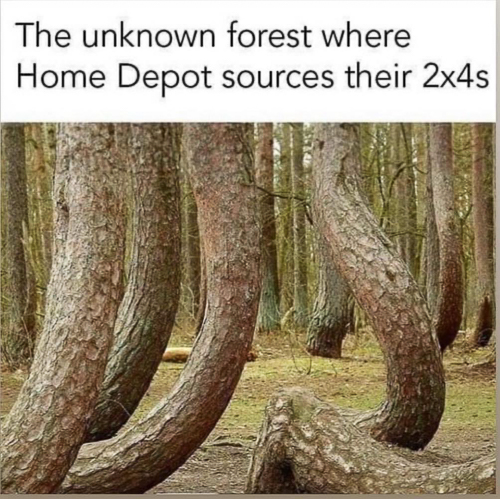 20250419-20250419_143557.jpg