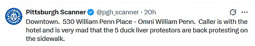 20250427-Duck.jpg