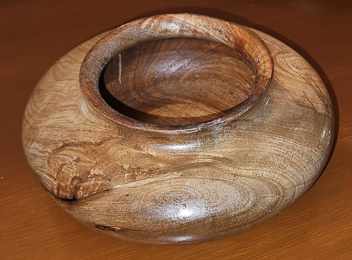 20250427-PecanTreeRoot.jpg