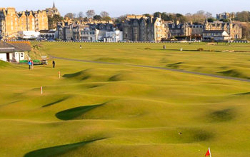 20250509-putting-green.jpg