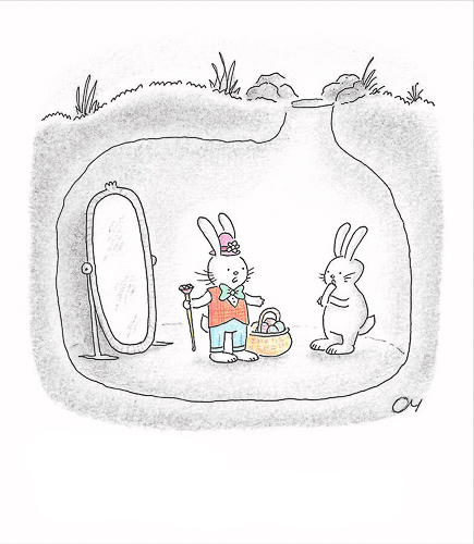 20250512-Bunny.jpg