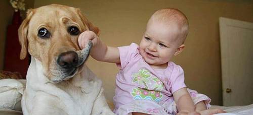 20250517-BabyDog.jpg