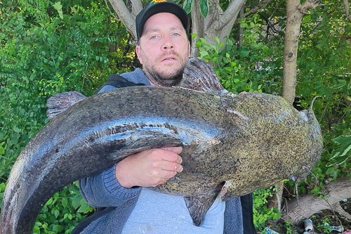 20250607-CatfishSchuylkill.jpg