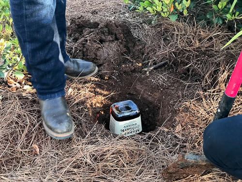 20250610-BourbonBuried.jpg