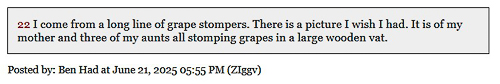 20250624-Winestomping.jpg