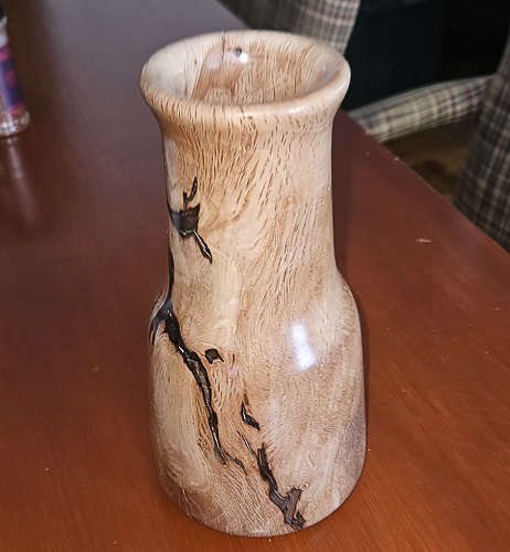 20250703-OakBranch.jpg