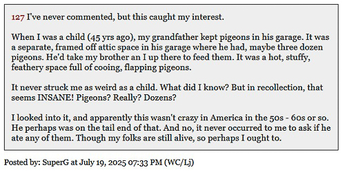 20250725-Pigeons.jpg