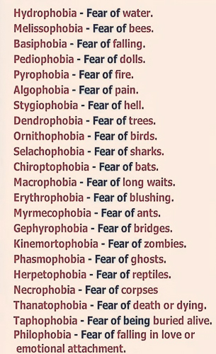 20250816-phobias.jpg