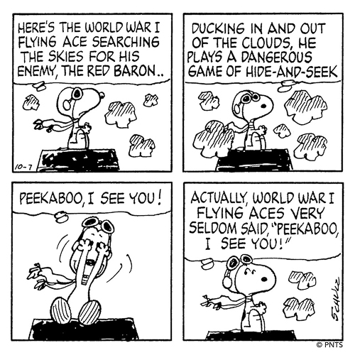 20250817-SnoopyRedBaron.jpg
