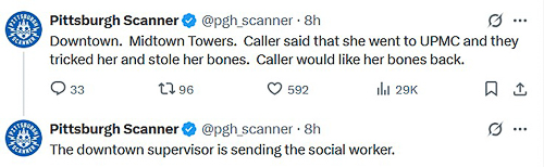 20250820-bones.jpg