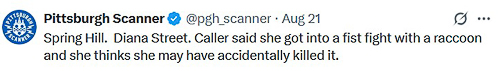20250825-accidentalfistfight.jpg