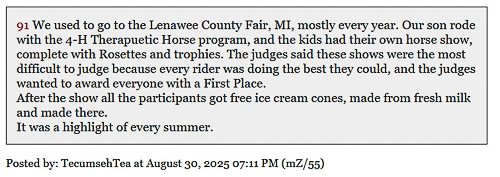 20250901-horsesatthefair.jpg