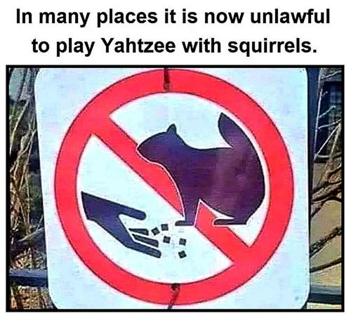 20250923-3061758664287.jpg