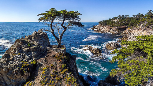 20250927-Lone_Cypress_Pebble_Beach.jpg
