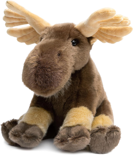 20251127-Moose.jpg
