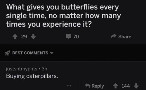 20260501-butterflies.jpg