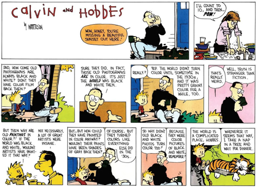 20260517-calvin.jpg