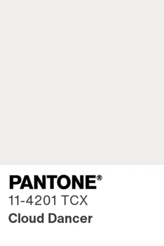 20260517-pantone-color-chip.jpg
